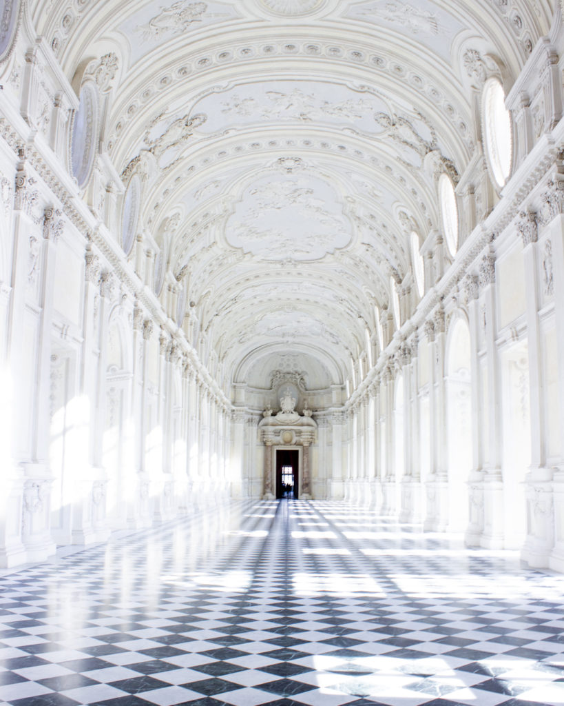 reggia di Venaria