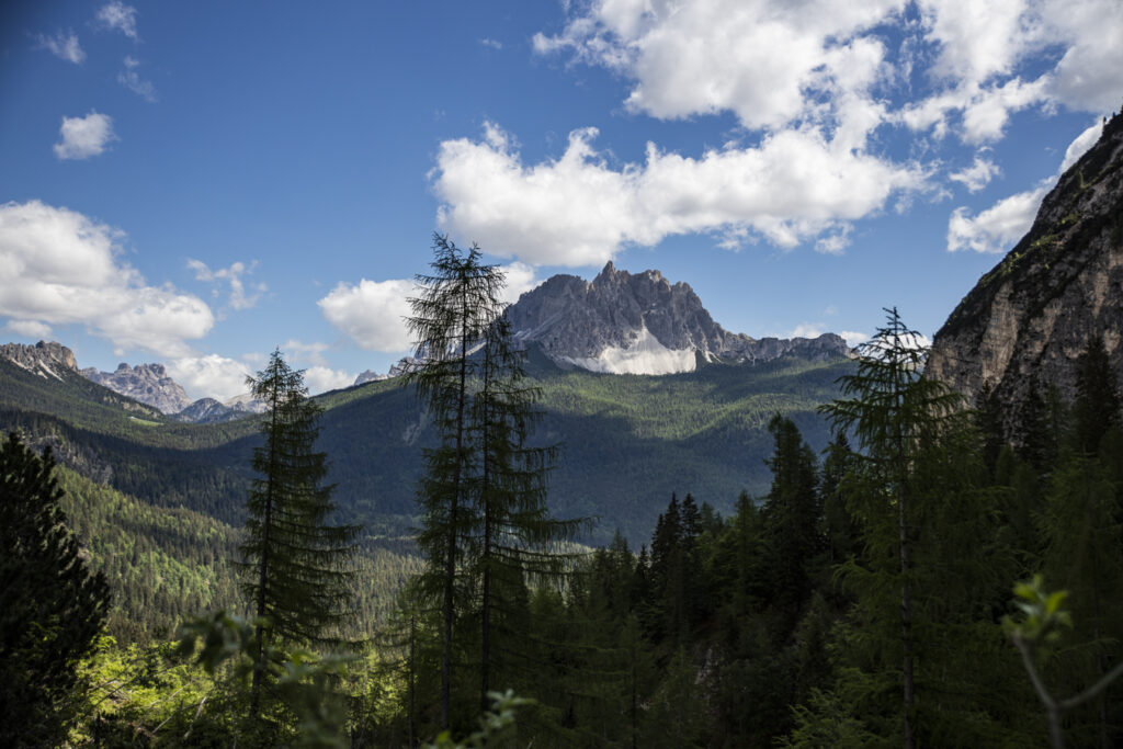 panorama dal sentiero 217